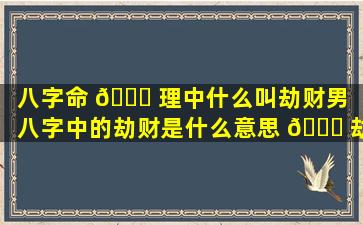 八字命 🐛 理中什么叫劫财男（八字中的劫财是什么意思 💐 劫财为什么会导致破财）